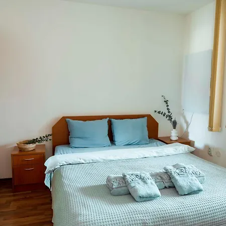 Daire Large 2-bedroom Near Road, 5 Min To Gondola & Bar Street Bansko