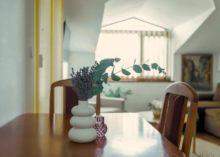 Large 2-bedroom Near Road, 5 Min To Gondola & Bar Street Bansko